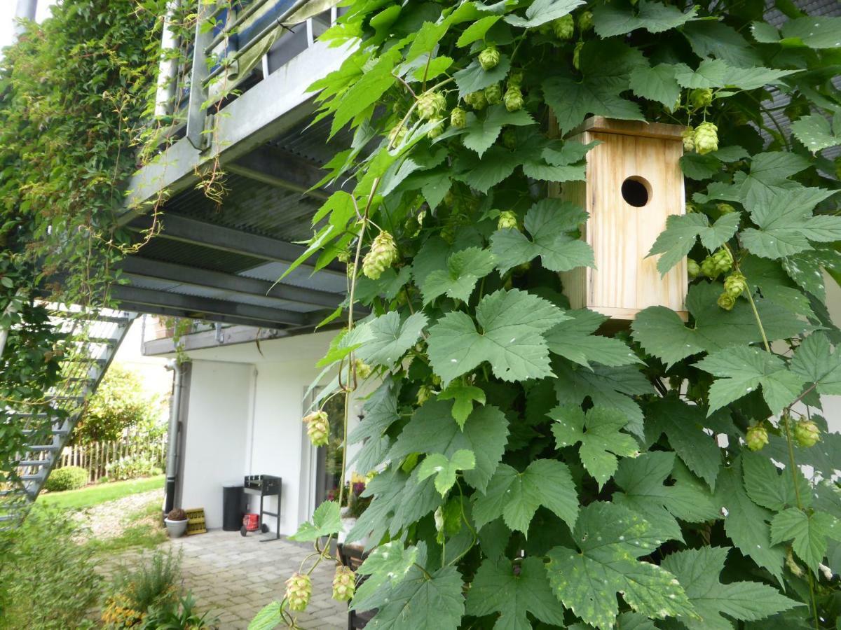 Das Nest 温特贝格 外观 照片